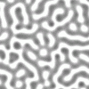 grey1.gif